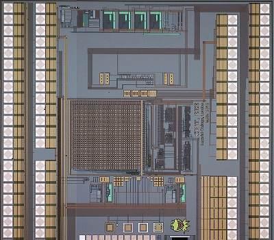 Chip para controlar apetite pode combater obesidade?