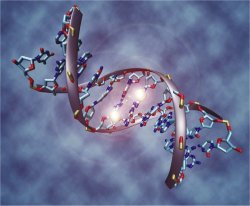 Cientistas tm associado incorretamente mutaes genticas com cncer, alerta pesquisador