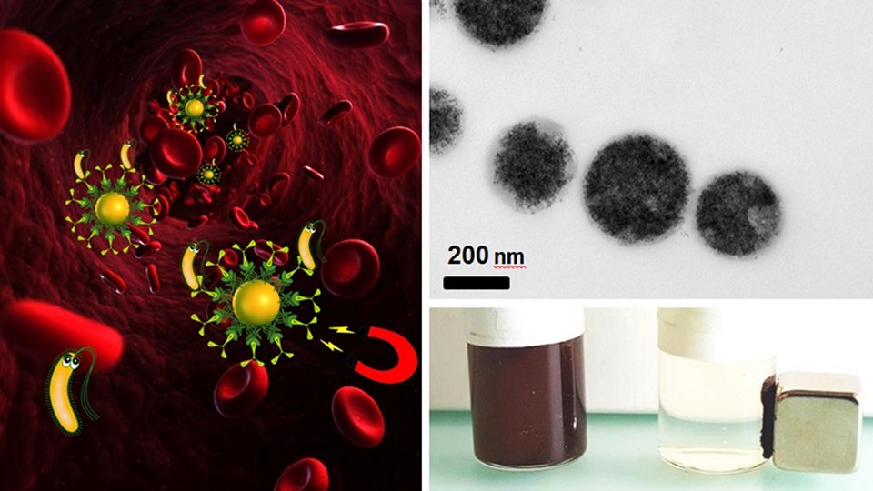 ms substituem antibiticos contra infeces