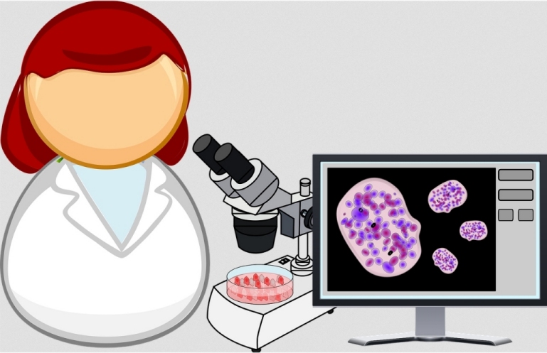 Bioinformtica: Computadores apoiando as pesquisas em sade