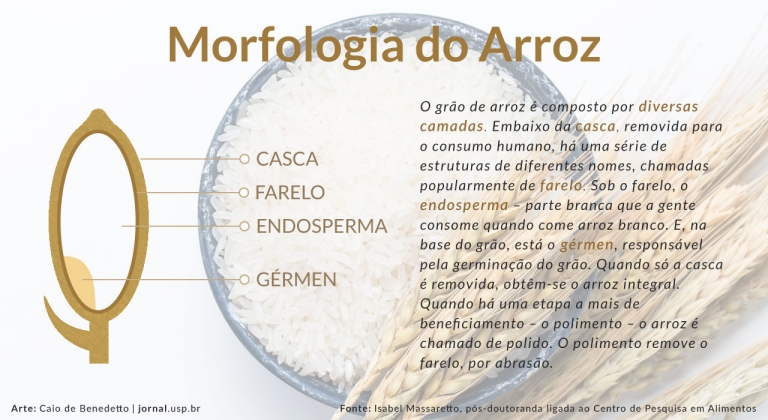 Arroz parboilizado preserva mais minerais que o branco polido