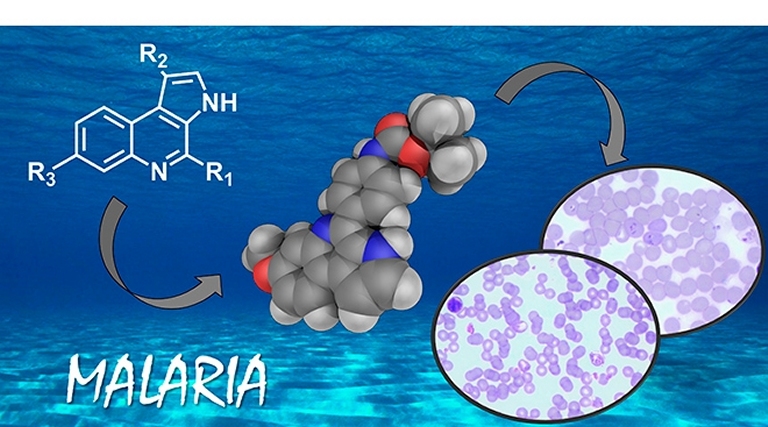 Substncia traz nova esperana para tratar a malria