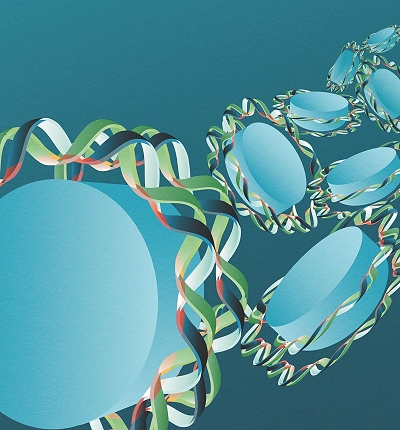 Periodicidade do genoma no se deve  seleo natural, dizem cientistas