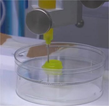 Minifgado funcional  criado em laboratrio por impresso 3D