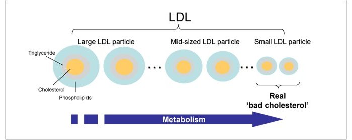 O ruim do colesterol ruim depende da sua composio