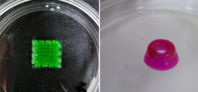 Brasileiras criam biotinta para impresso 3D de tecido nervoso