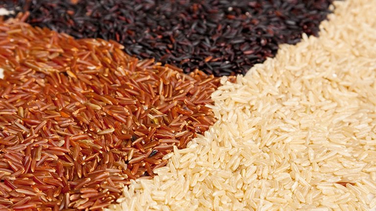 Suplemento vegetariano  base de mel em p e protena do arroz