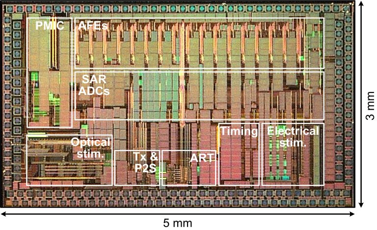 Chip sem fio manda informaes para o crebro usando luz