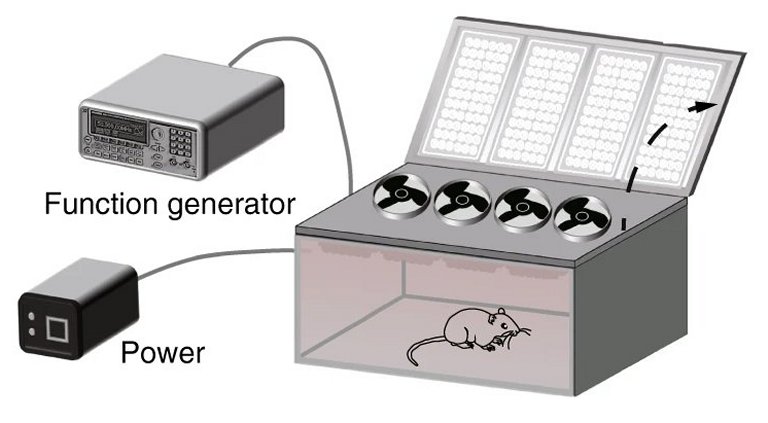 Tratamento de luz diminui placas do Alzheimer em cobaias