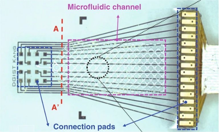 Interface neural multifuncional e flexvel monitora crebro e aplica medicamento