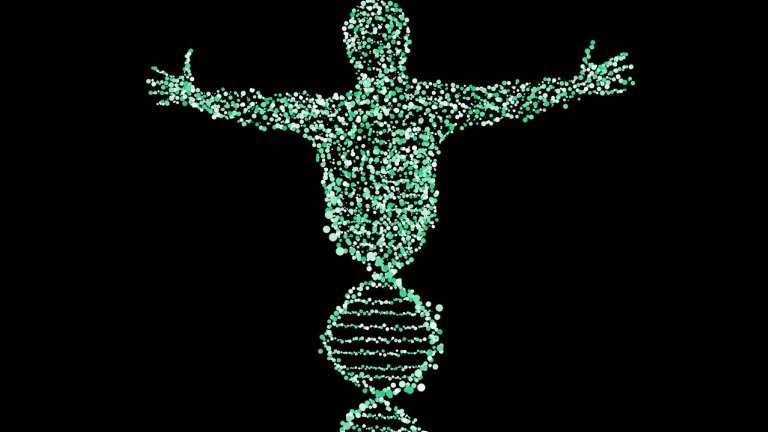 Direo do seu DNA pode ser to importante quanto de onde ele veio