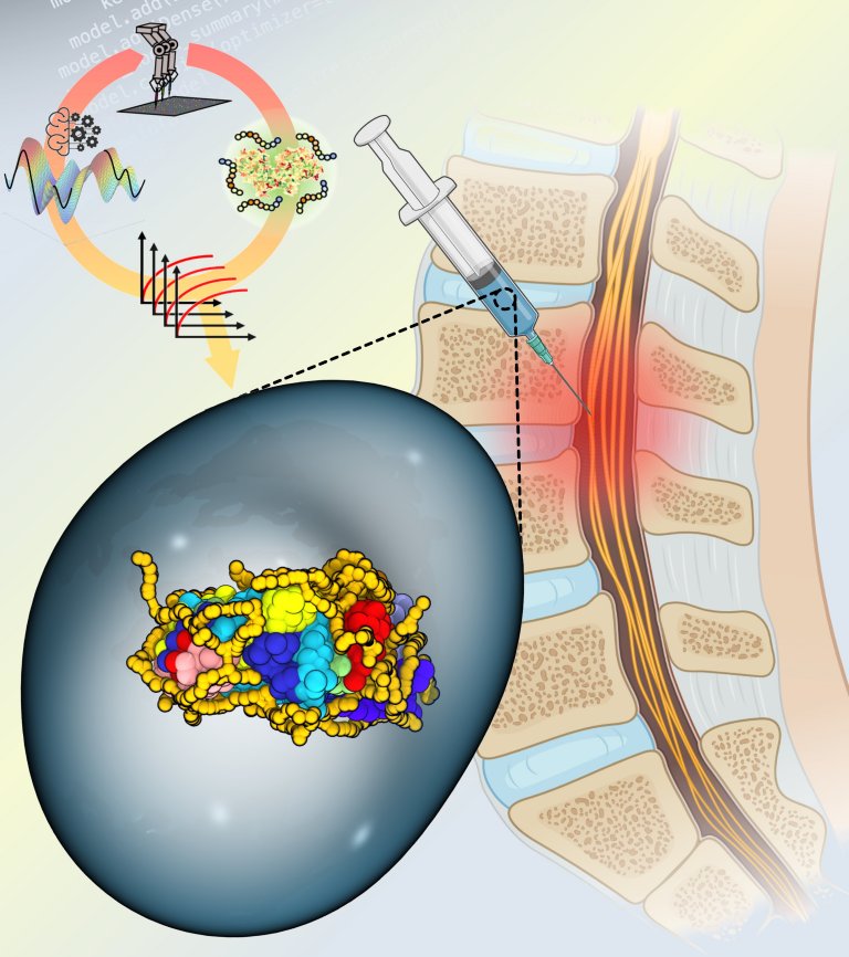 IA e robtica abre caminho para tratar leses na medula espinhal