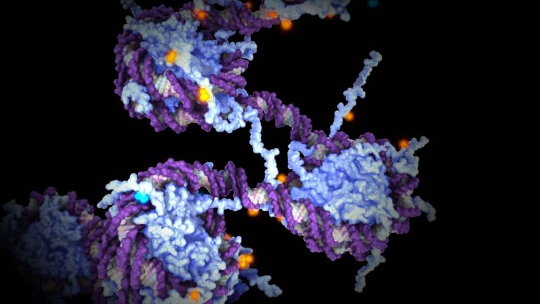 Epigentica: Nem tudo o que herdamos dos nosso pais vem via DNA