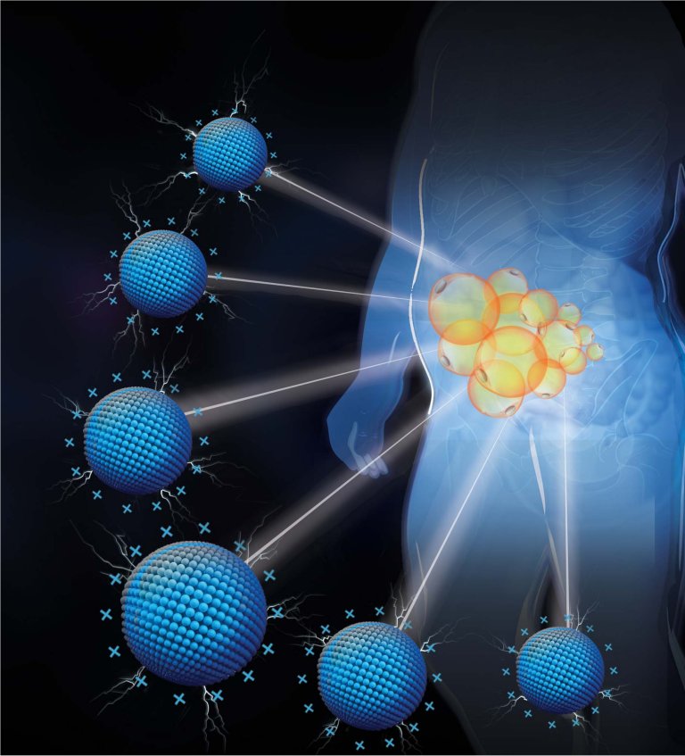 Nanomaterial trata a obesidade geral ou localizada