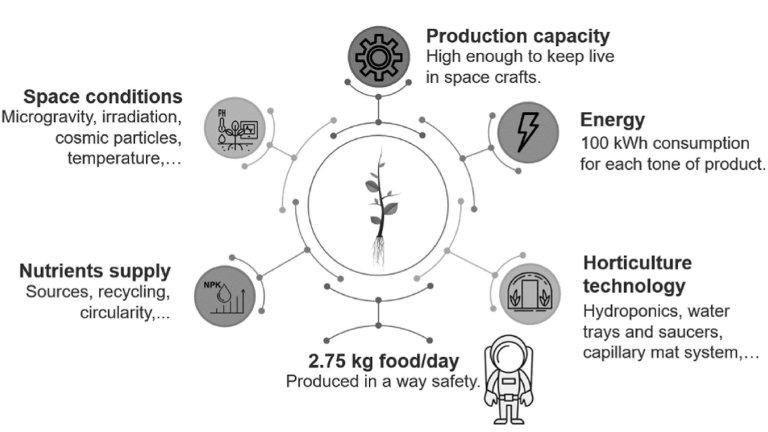 Salada de outro mundo criada para astronautas