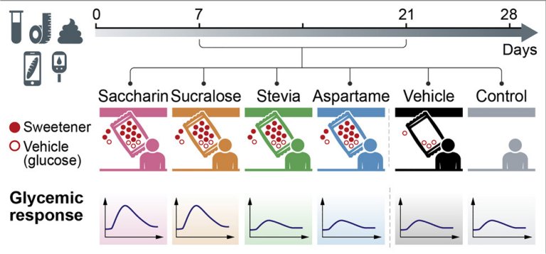 Adoante qumico artificial destri nosso DNA