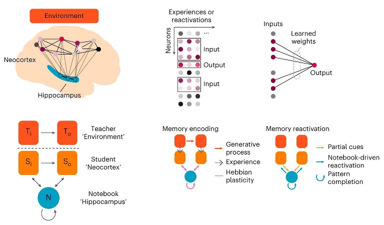 New theory better explains how the brain stores memories