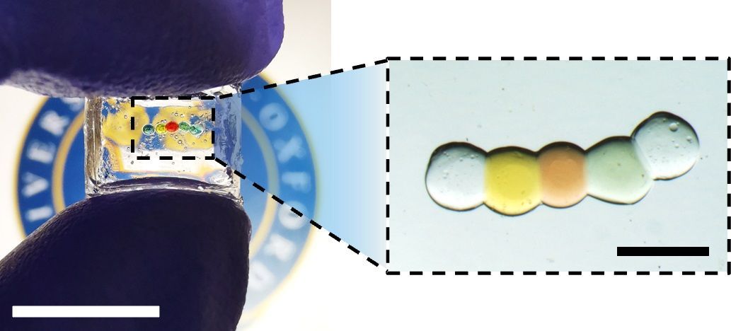 Bateria de gotculas aciona aparelhos biointegrados e at clulas individuais