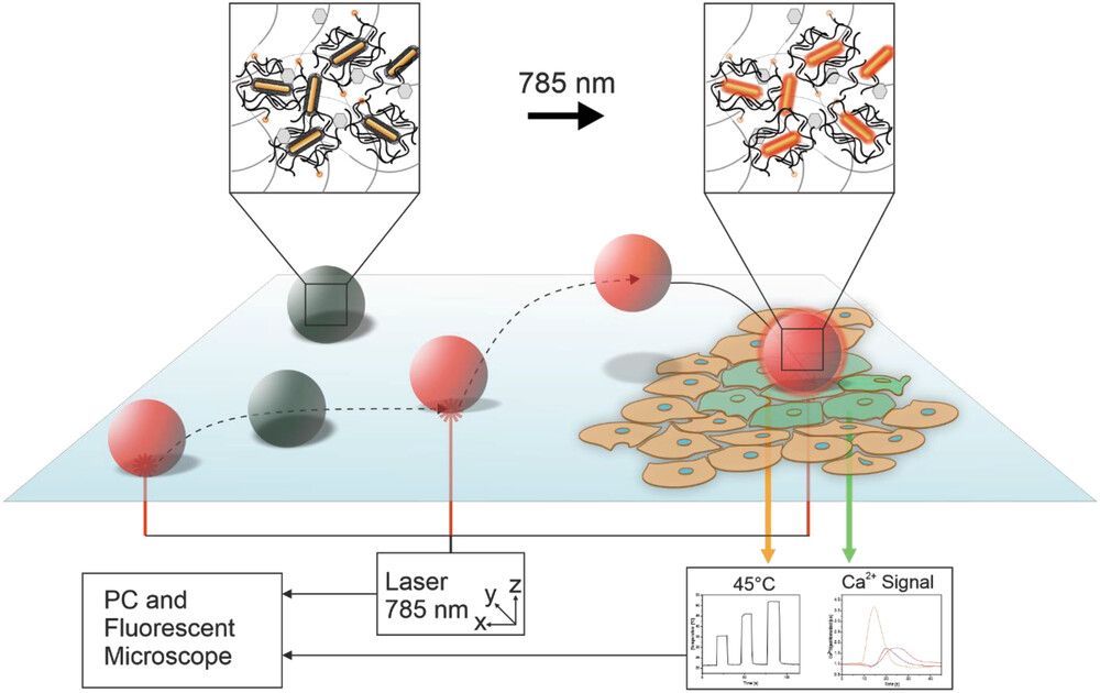 Primeiro microrob do mundo que navega entre as clulas individuais