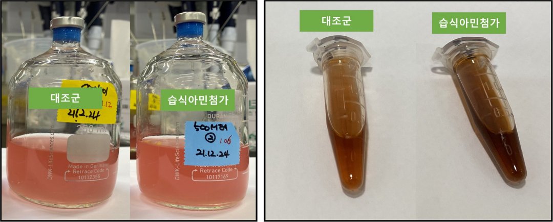 Dixido de carbono  convertido em antioxidante e anticancergeno