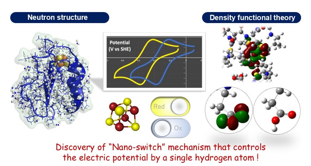 Nanochave de um nico tomo controla vida de todos os organismos biolgicos