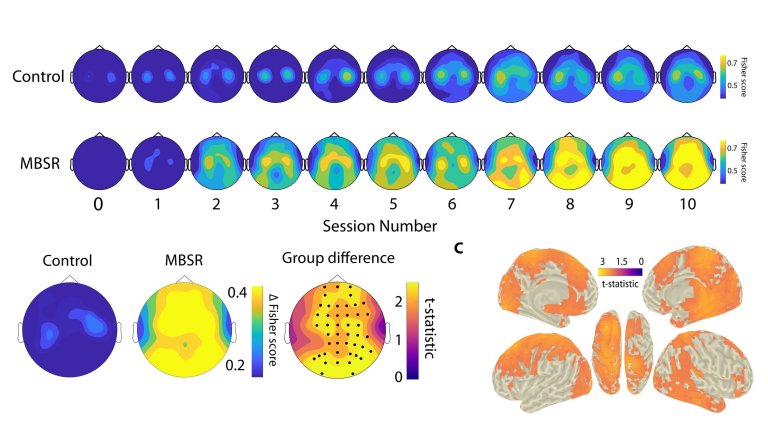 Meditao facilita controle das interfaces crebro-computador