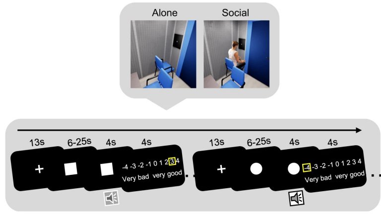 Companhia, mesmo virtual, ajuda mulheres a lidarem com fobia social