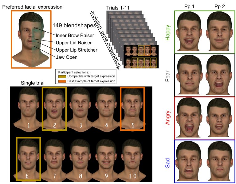 No existe uma expresso facial para cada emoo: Cada um interpreta do seu jeito