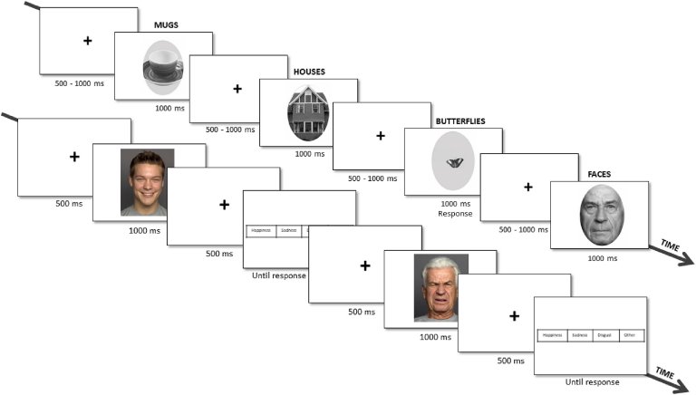 Envelhecimento muda a forma como interpretamos expresses faciais de emoo