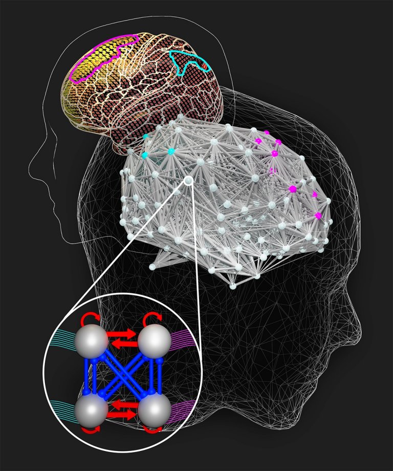 Crebros inteligentes demoram mais para resolver problemas difceis