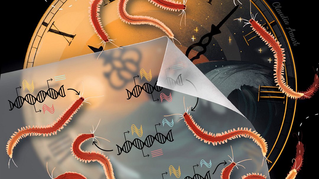 Genes moldam nossa personalidade? Alguns cientistas ainda acreditam nisso