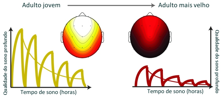 Sono profundo funciona como fonte da juventude na terceira idade