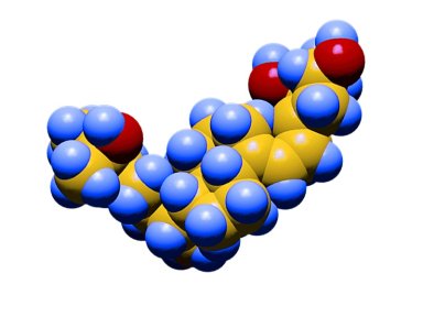 Gene do filtro solar natural influencia como produzimos vitamina D