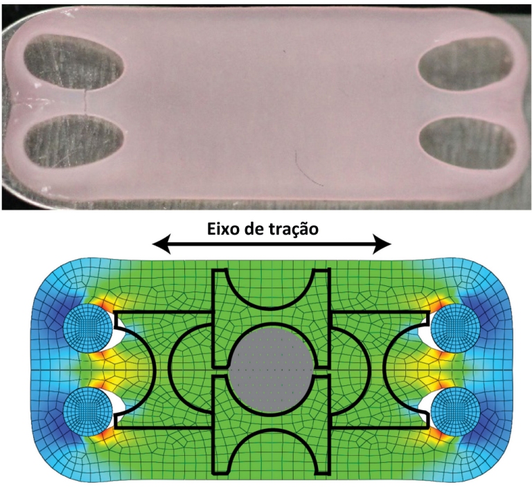 Cartilagem artificial sob tenso  to forte quanto a natural