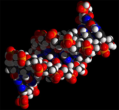 Tcnica de edio gentica CRISPR/Cas9 causa danos extensos ao DNA