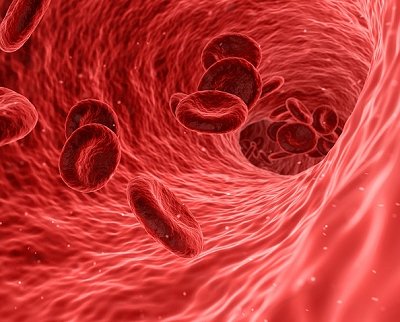 Protena indica predisposio a doenas cardiovasculares mesmo em pessoas saudveis