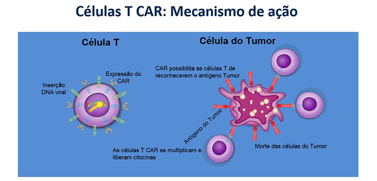 Pesquisadores brasileiros reduzem custo de tratamento inovador contra o cncer