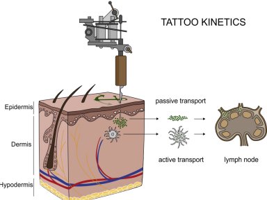 Tatuagem atrapalha suor e aumenta temperatura da pele