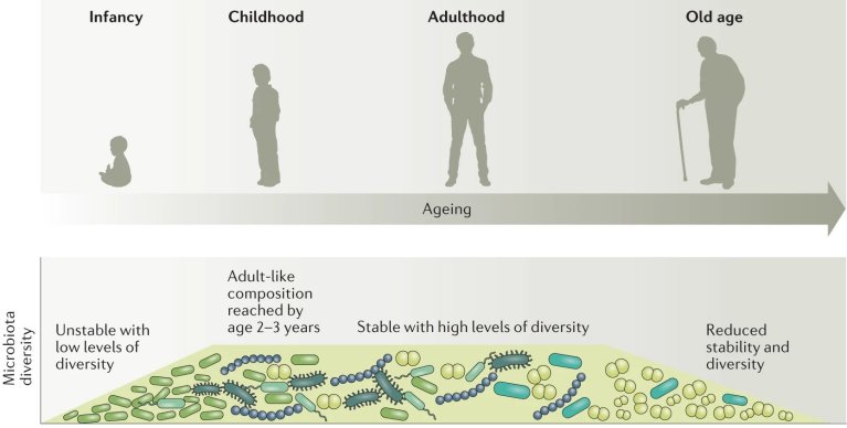 Quer que a vacina funcione pra voc? Ento cuide da sua microbiota