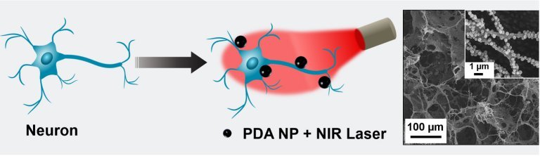 Nanopartculas acionadas por luz controlam neurnios em tempo real