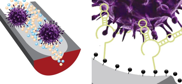 Sensor de DNA detecta se vrus est presente e se ele  infeccioso