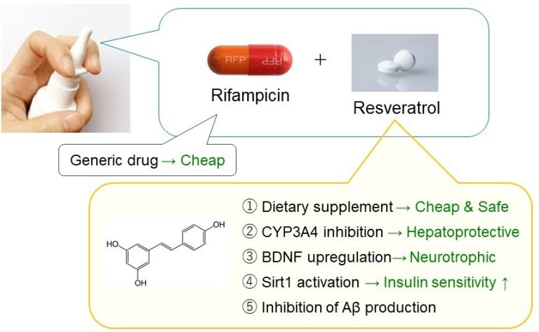 Combinao de rifampicina e resveratrol interrompe demncia