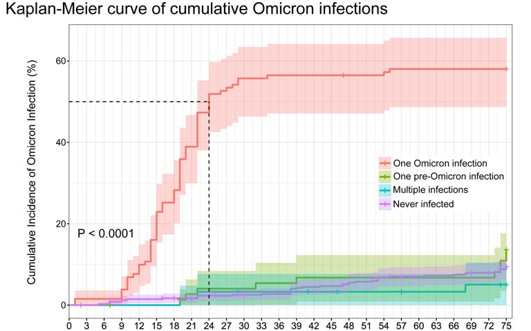 Infeco com variante micron aumenta suscetibilidade a futuras infeces por covid