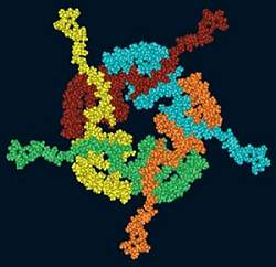 Mal de Parkinson: cientistas comeam a ligar os pontos