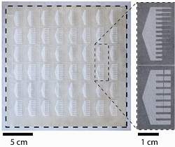 Biochip de papel baratear exames clnicos e anlise da gua