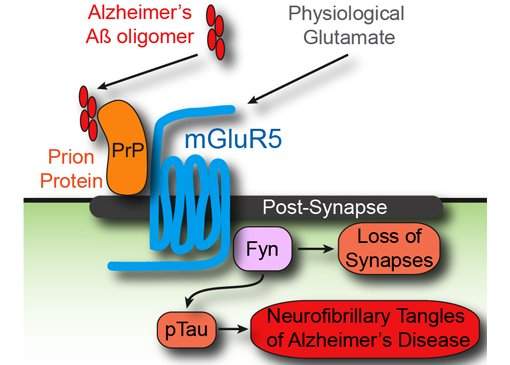 Cientistas encontram elo perdido do Mal de Alzheimer