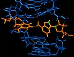 Cientistas descobrem um novo nvel de informao no DNA