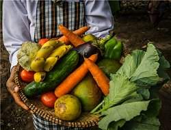 Reviso alimentar bsica: o que voc deve saber