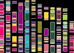 Descoberto gene que dita ritmo do envelhecimento