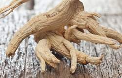 Extrato de ginseng pode ser superior  vacina contra gripe